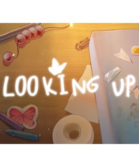 Looking Up Steam Key GLOBAL